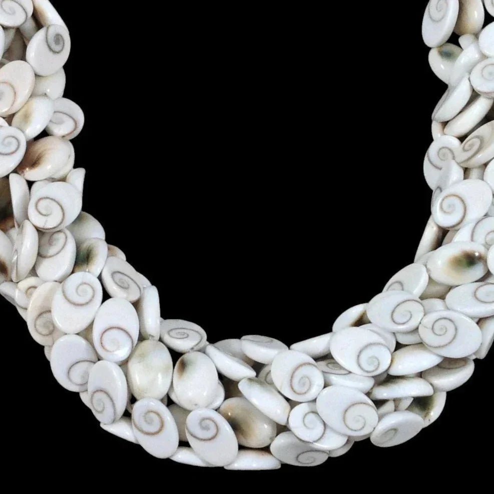 Shiva Shell, Pacific Cat's Eye Shell, Operculum, Gastropod, Oval - Rubber City Bargains